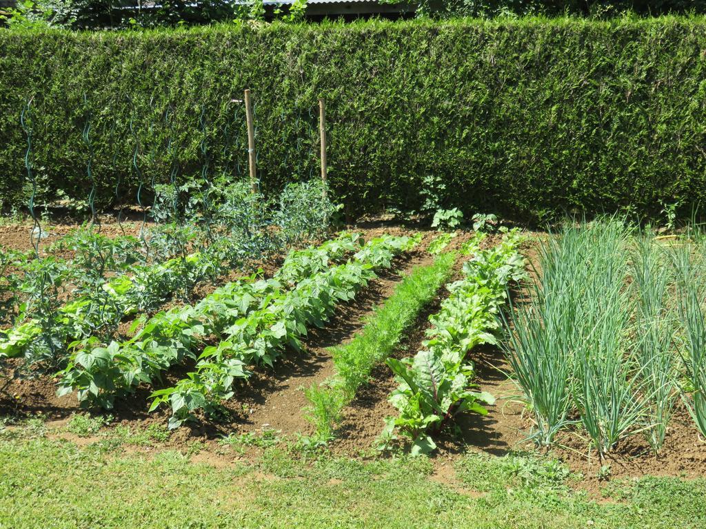 Les Quatre Saisons Bed and Breakfast Moitron-sur-Sarthe Esterno foto