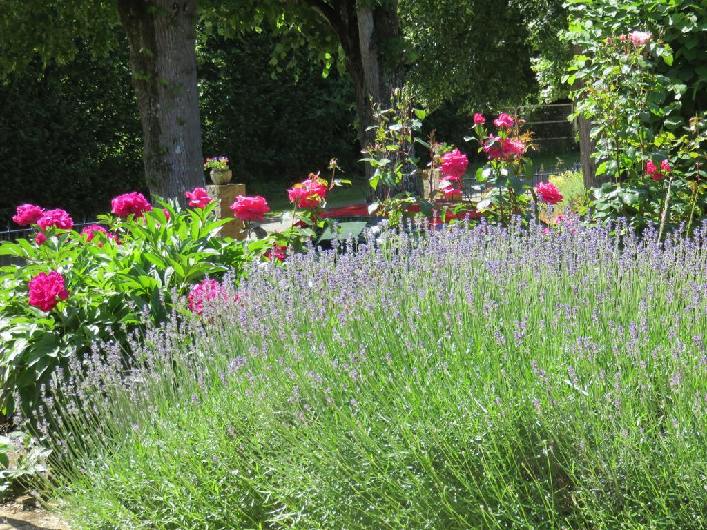 Les Quatre Saisons Bed and Breakfast Moitron-sur-Sarthe Esterno foto