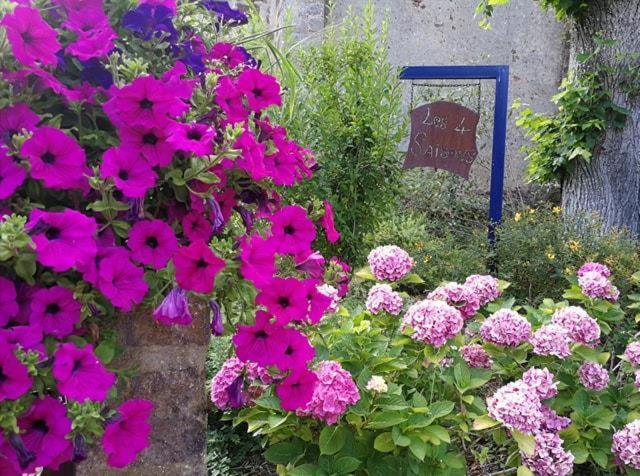 Les Quatre Saisons Bed and Breakfast Moitron-sur-Sarthe Esterno foto